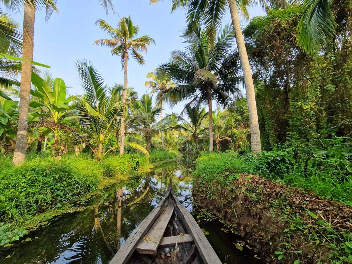Bootsfahrt durch einen schmalen Wasserkanal in Kerala, Indien, umgeben von Palmen und üppiger Vegetation